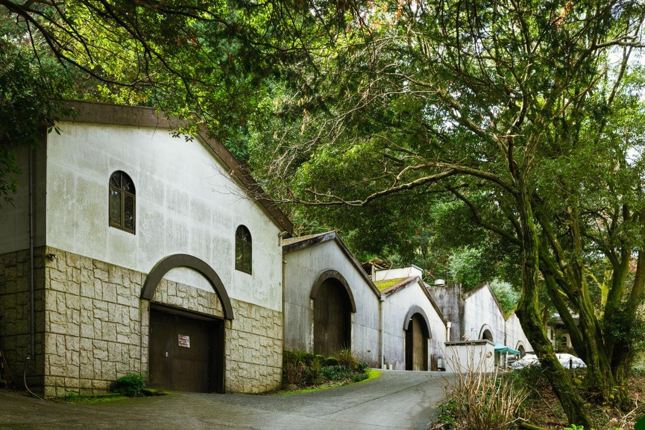 🍇 거봉 와이너리(쿄호 와이나리) 이미지 1